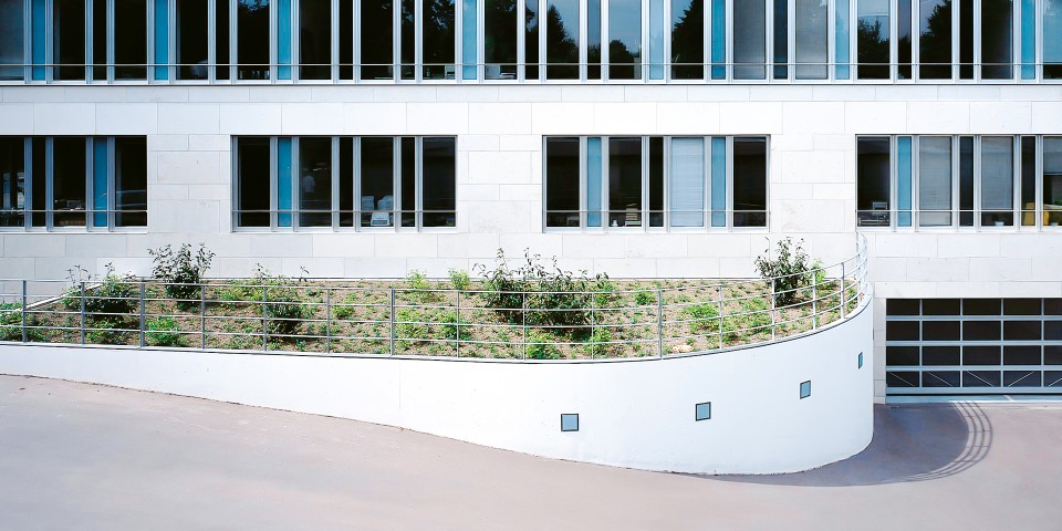 Fensterfront eines Gebäudes mit kleiner Grünfläche
